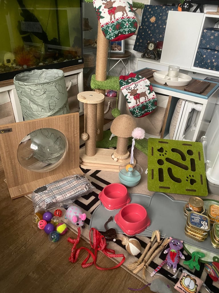 Bundle of various cat supplies/items 