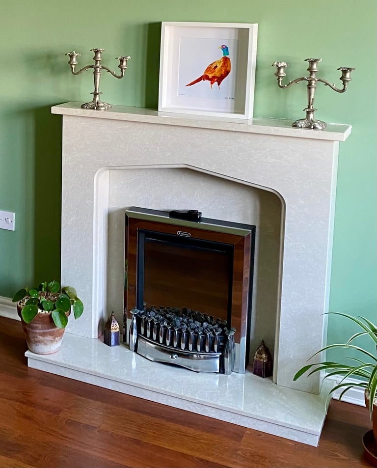 image for Dimplex electric fire with remote control