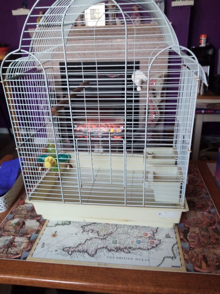 Bird cage free
