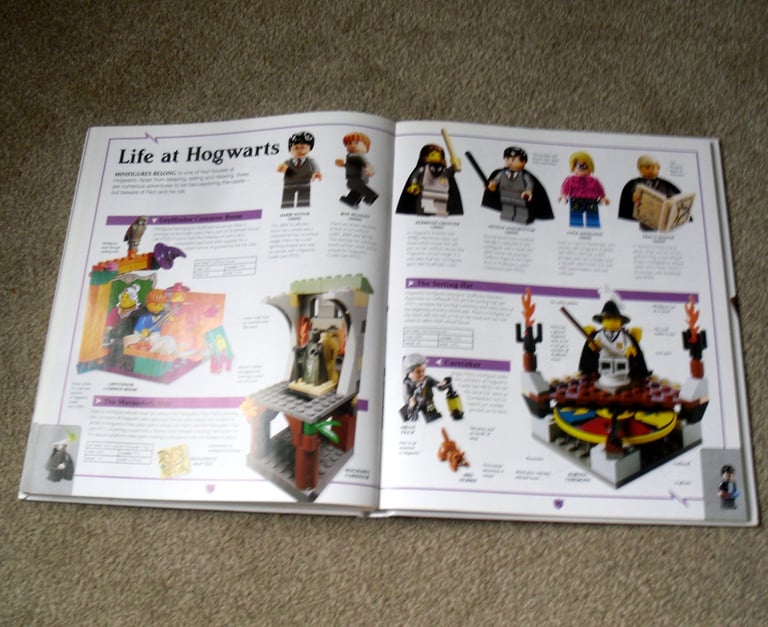 Lego Harry Potter Building The Magical World and Characters Of the Magical World With 2 Minifigures