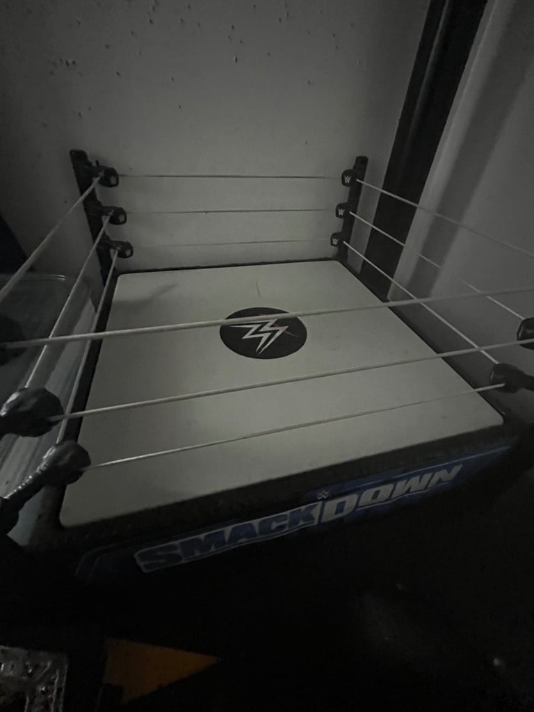 WWE 2025 Ring