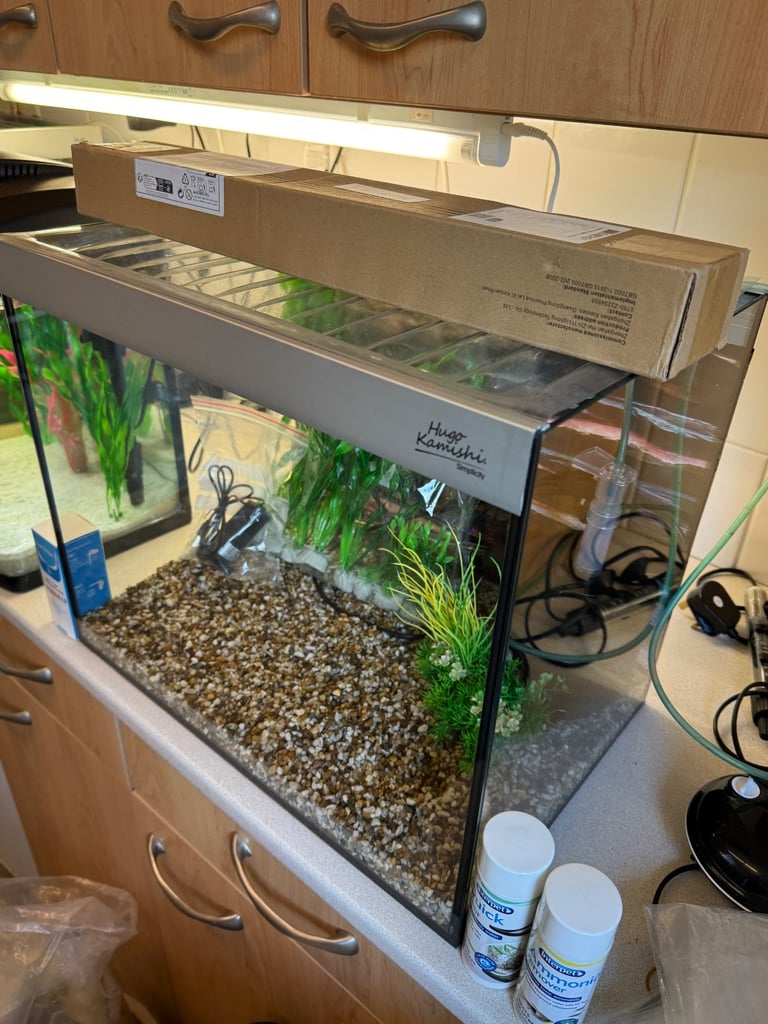 Hugo Aquarium
