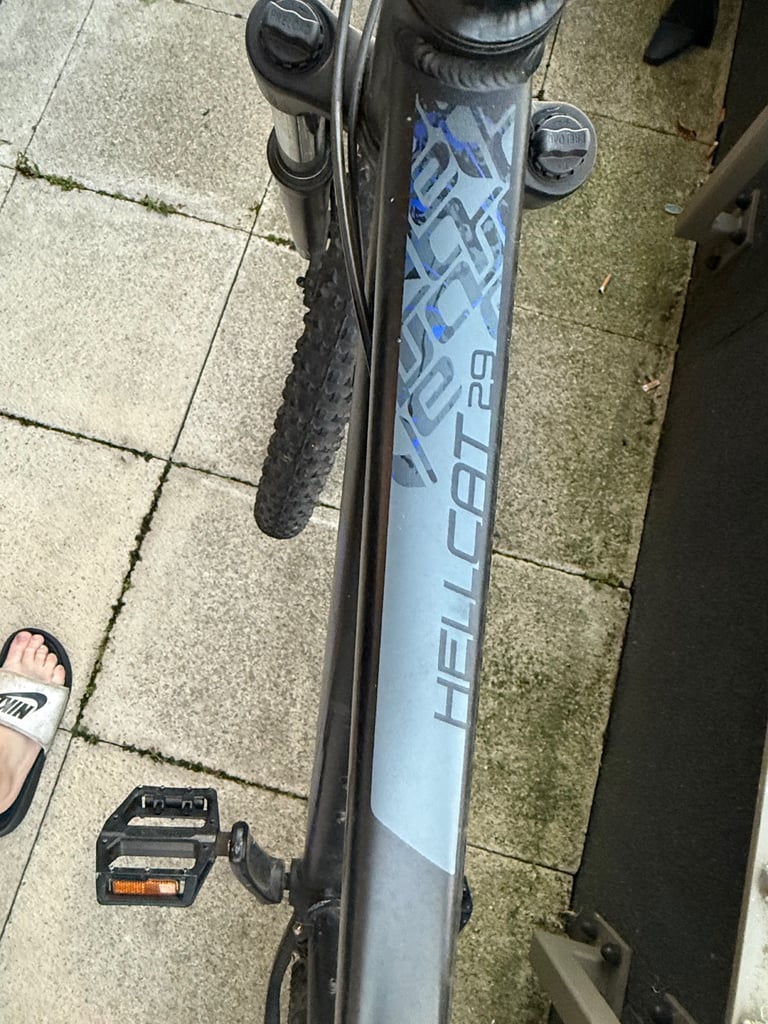 Carrera hellcat 29