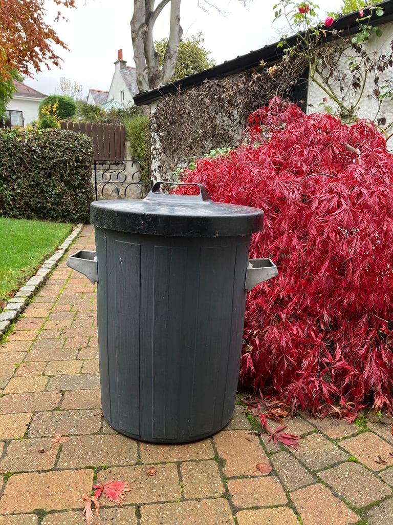 image for Dustbins