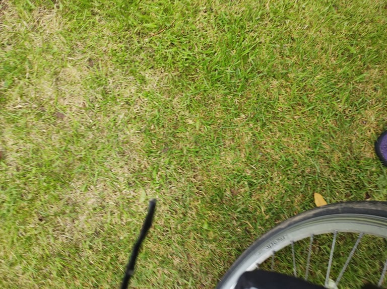 Peugeot electric bike