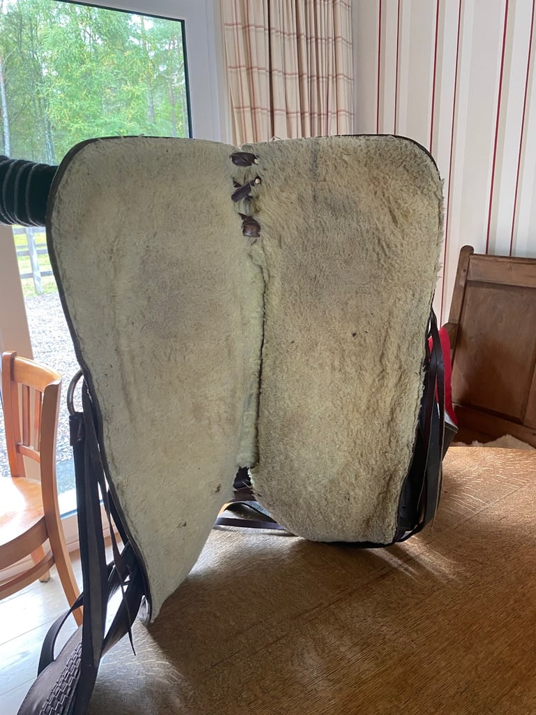Western saddle