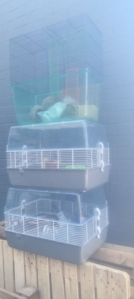 Hamster cages 