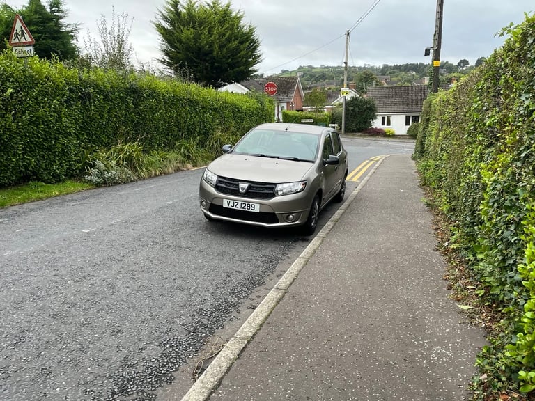 Cheap Dacia SANDERO 2013, 1149 (cc),MOT'd Until the 3rd of October 2026 for sale in County Antrim