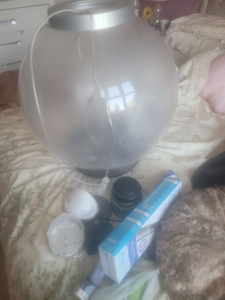 60 litres orb fish tank