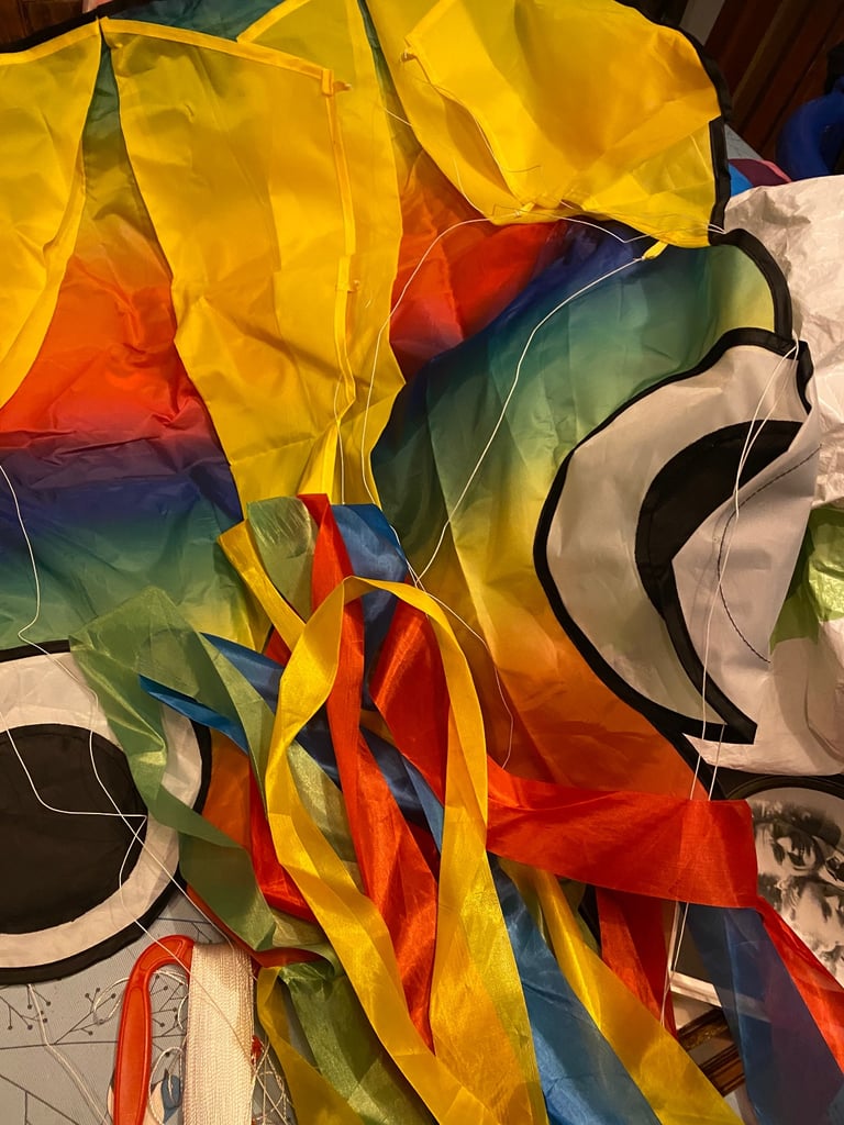 image for 4 kids kites