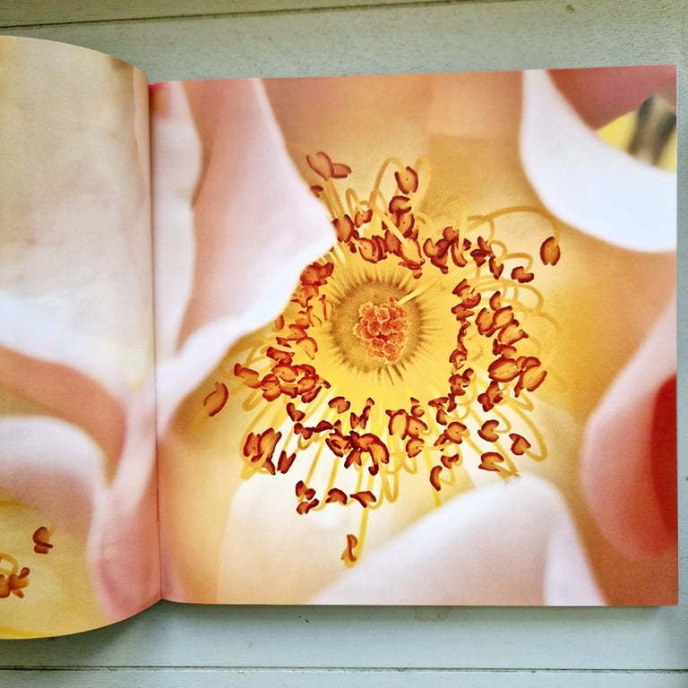 Photographing flowers photography book