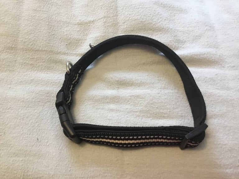 3 Peaks Ecru Ascent Dog Harness