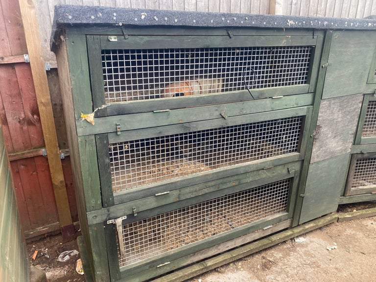 image for Ferret hutch 