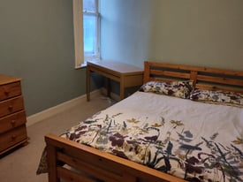 Short-term let in a sociable flat-share: 2-12 months