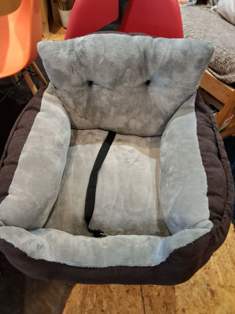 Dog car seat