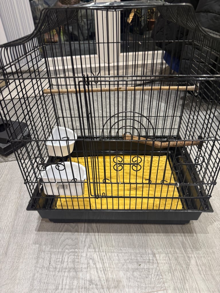 Bird cage with accessories 