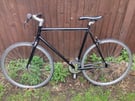 Adults No Logo Single Speed/ Fixie Road Bike