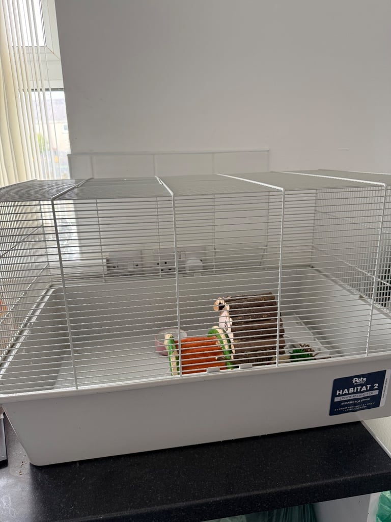 Hamster cage