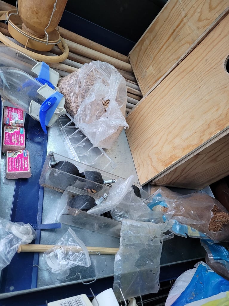 Bird accessories, cage and carry cage
