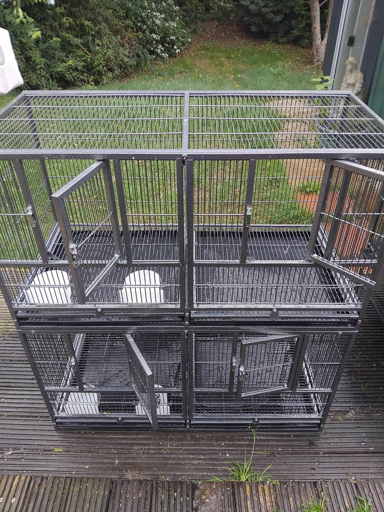 Bird cages 