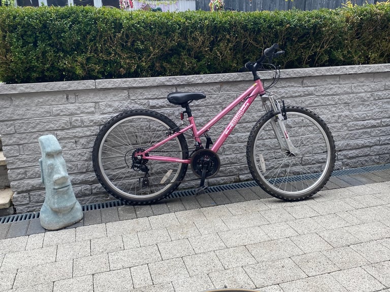 image for Kids 24 inch wheel mountain bike 