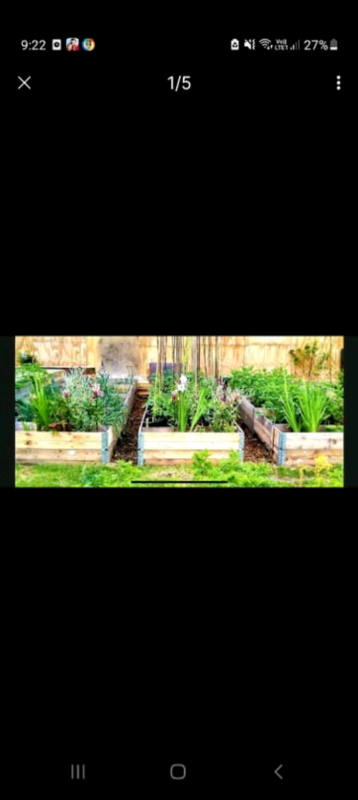 Pallet collar allotment raised flower beds 