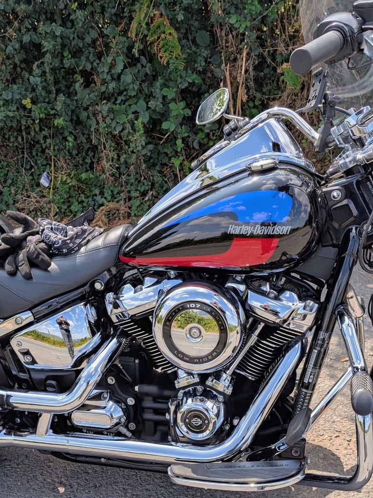 image for Harley-Davidson, SOFTAIL LOWRIDER 2018, 1745 (cc)