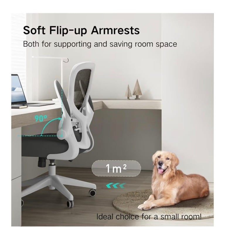 Ergonomic office chair 