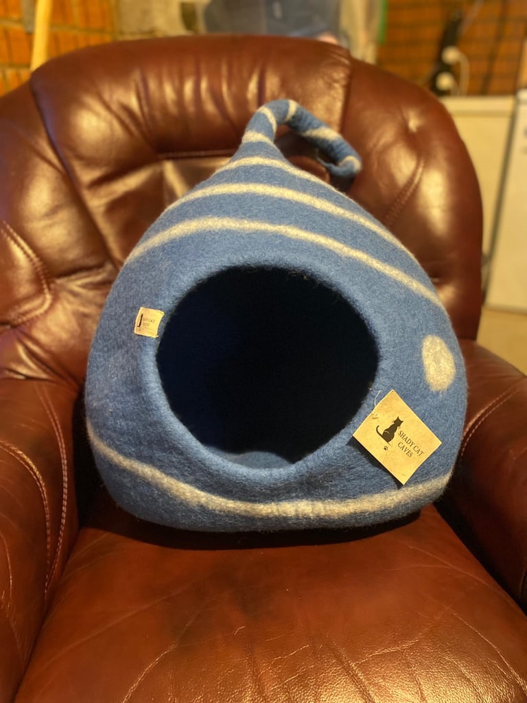 🫐 Blueberry Drop Cat Cave
