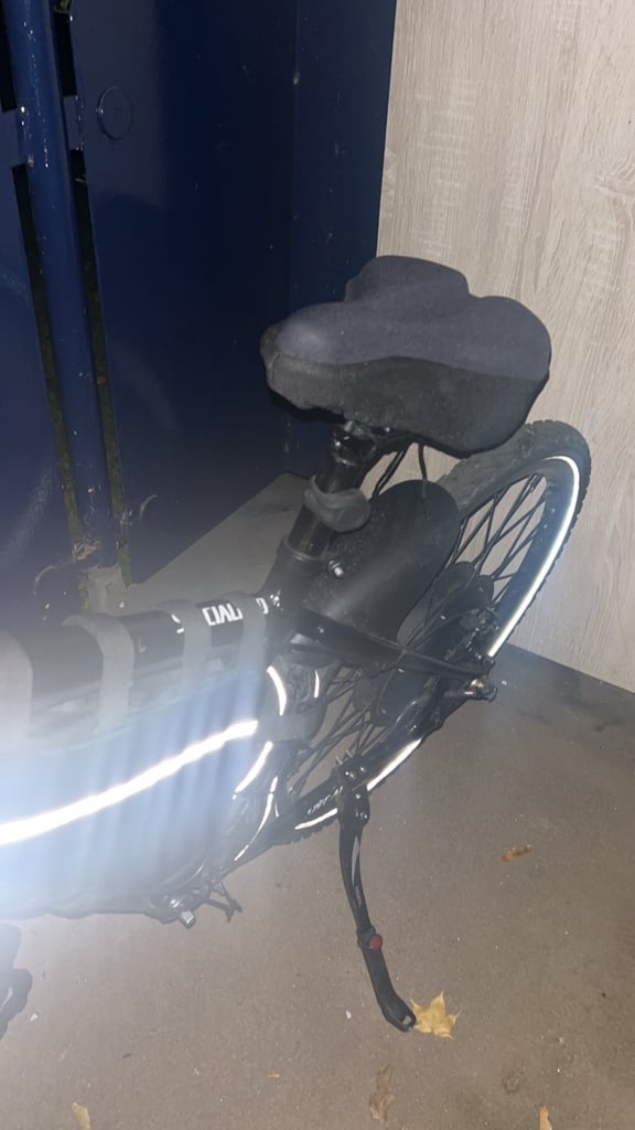 Ebike 1500w 54V 30AH specialised bike 