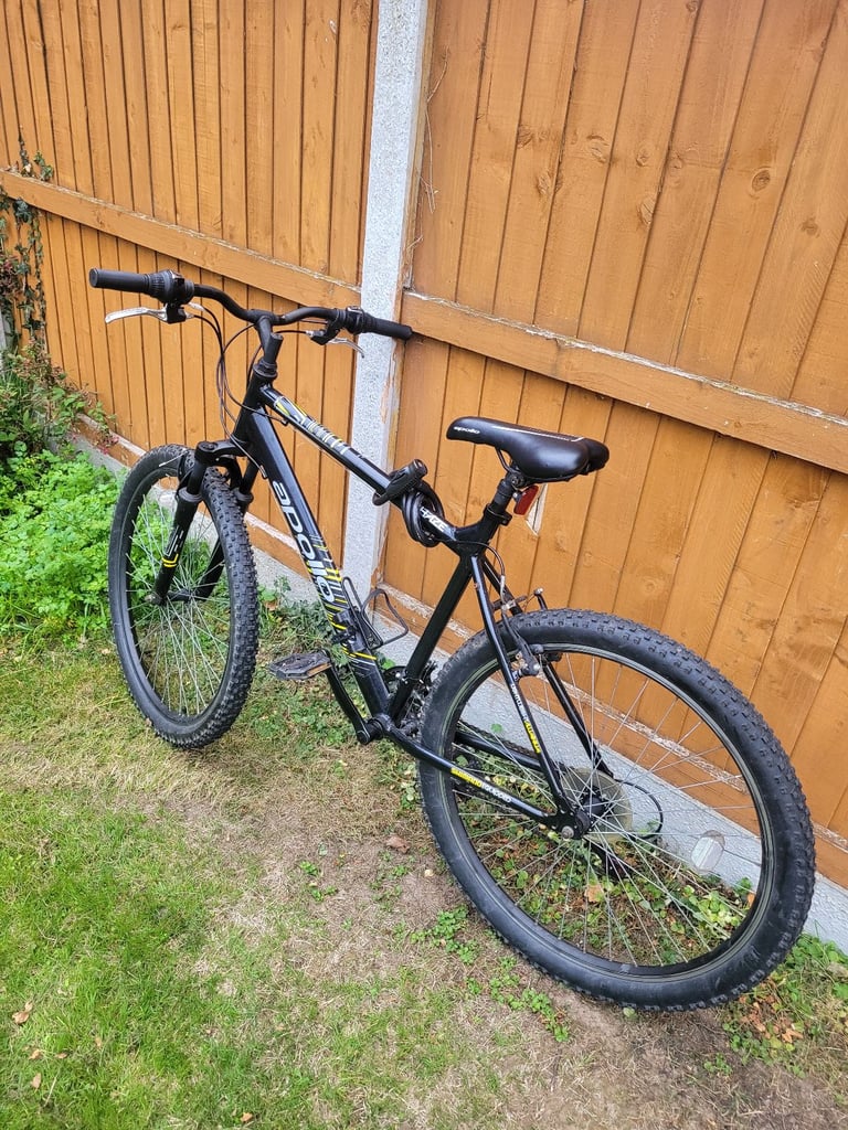 Adult bike