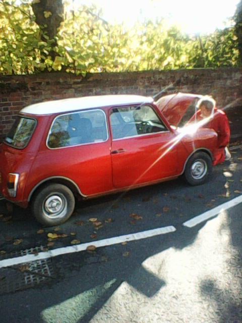 Classic mini wanted in any condition