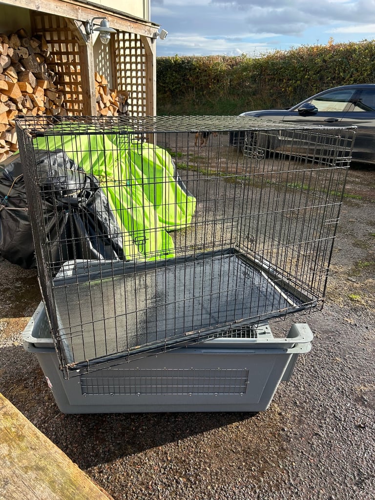 Large dog crate 