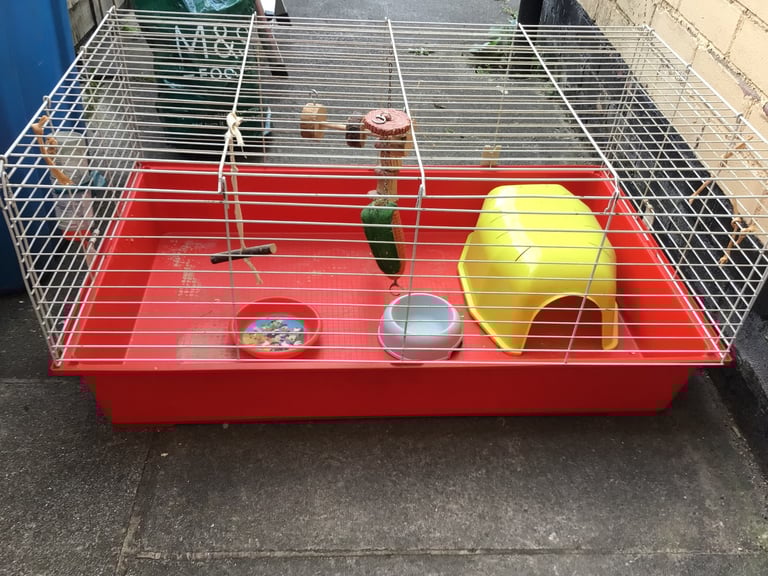 image for Guinea pig cage. With accessories 