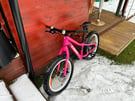 Trek Roscoe 20 inch Wheel Kids Mountain Bike 2021 in Flamingo Pink