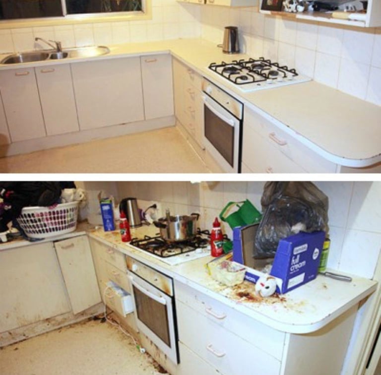 PREMIUM STANDARD Cleaning 