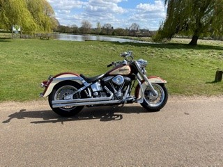 image for Harley-Davidson, SOFTAIL CLASSIC, 1986 register in the UK in 1994, 1340 (cc)