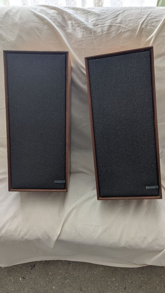 Celestion speakers x2 in Teak casing