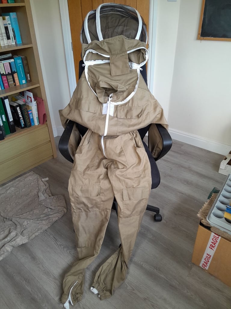 image for bee suit with fencing veil size M - but rather like S. Like new