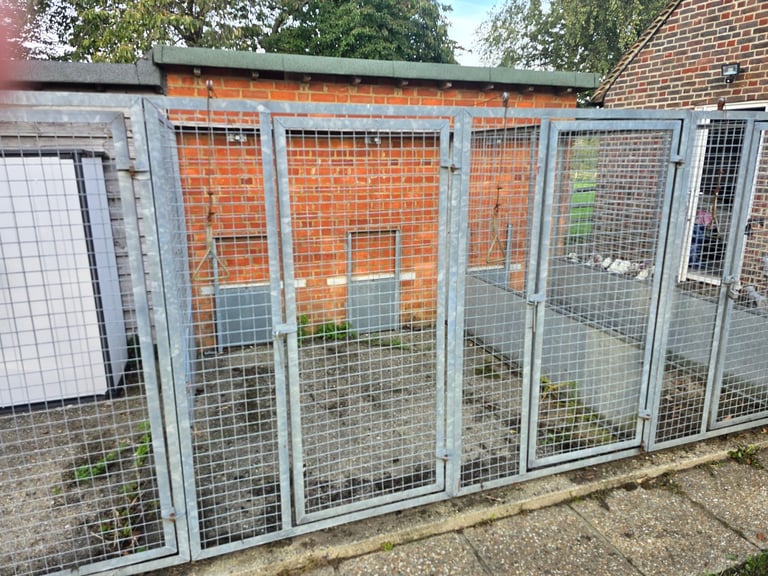 Galvanised dog kennels for sale 