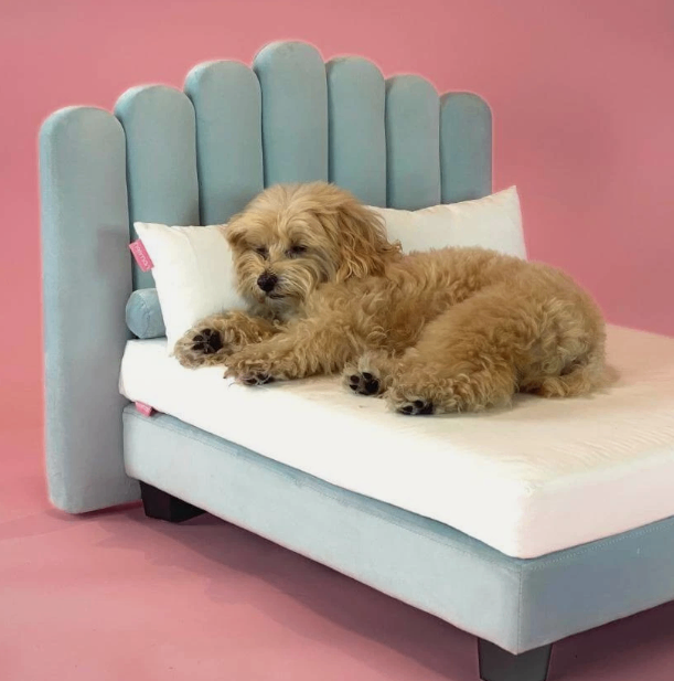 image for Luxor Pet Bed Small – Riviera Blue | Designed in Britain | Model: LUX-SML-B