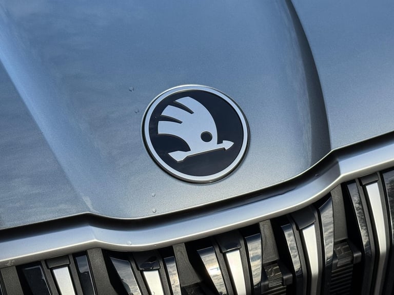 2025 Skoda Kodiaq 2.0 TSI 204 SE L 4X4 5dr DSG [7 Seat] ESTATE PETROL Automatic