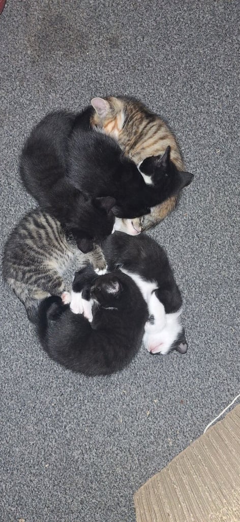 ready for a new home 