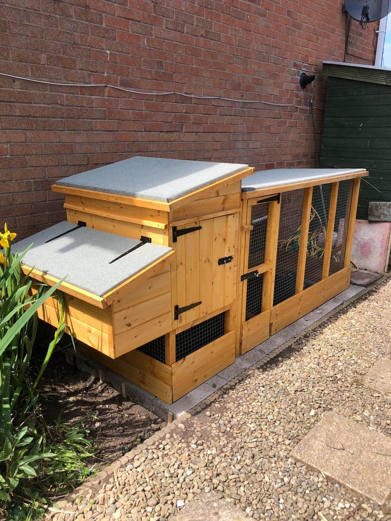 image for CHICKEN HOUSE and RUN
