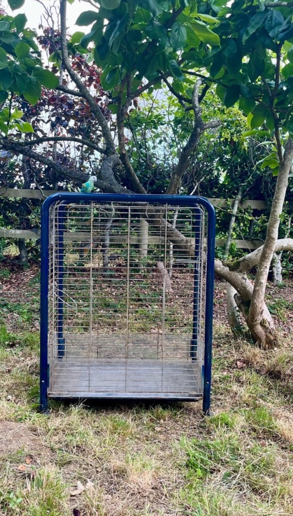 LARGE STURDY ANIMAL/BIRD CAGE IN BLUE ON CASTORS