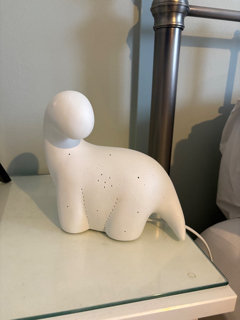 image for Dinosaur kids Lamp