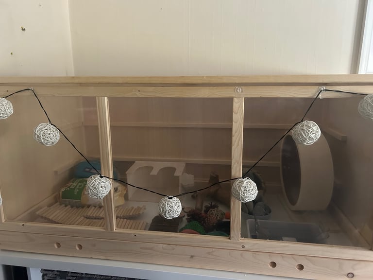 Hamster cage and accessories 