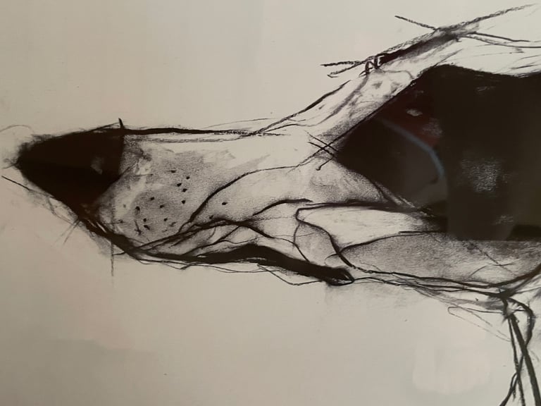 image for Valerie Davide Print 'dog in charcoal'