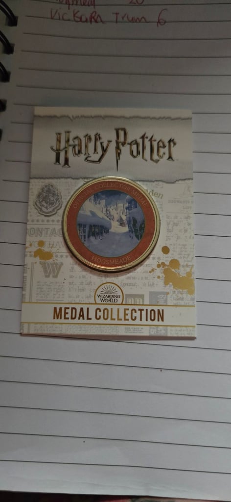 image for Snowy hogsmead coin