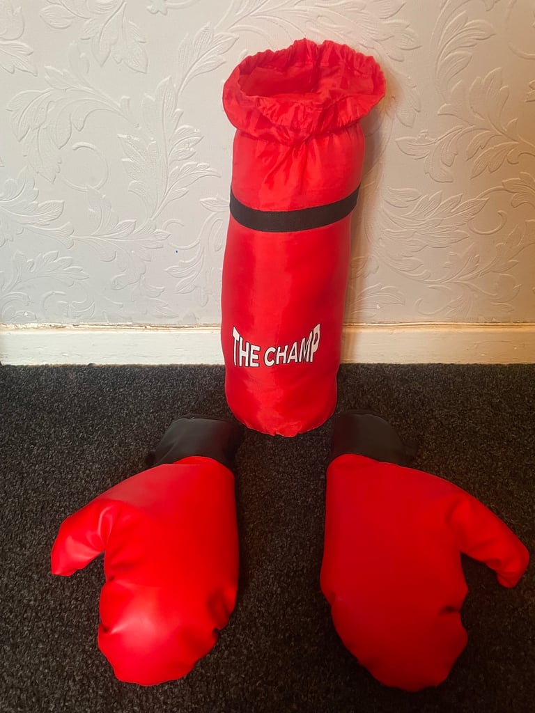 image for Childs boxing gloves & punch bag